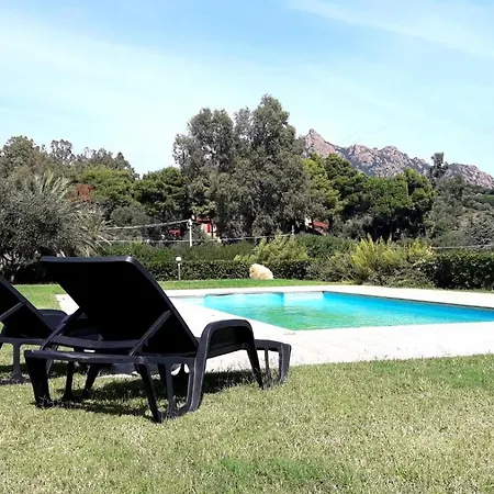 Abba Urci 테르테니아