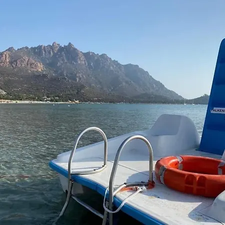 Abba Urci 테르테니아